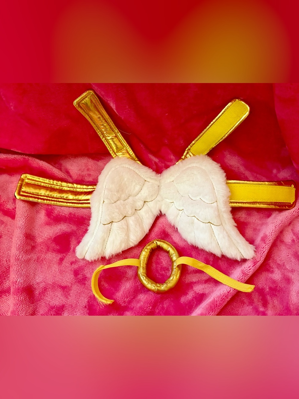 Plush White & Gold Angel Wings Costume Set for Guinea pigs.
